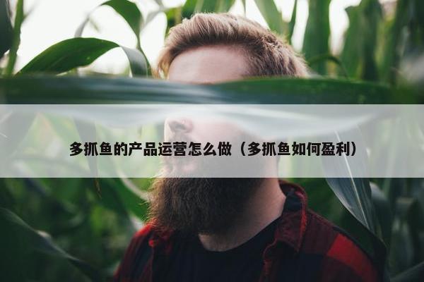 多抓鱼的产品运营怎么做（多抓鱼如何盈利）