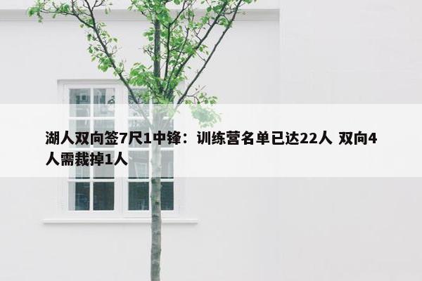 湖人双向签7尺1中锋：训练营名单已达22人 双向4人需裁掉1人