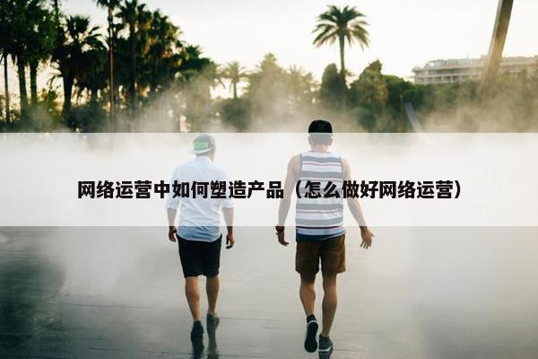 网络运营中如何塑造产品（怎么做好网络运营）