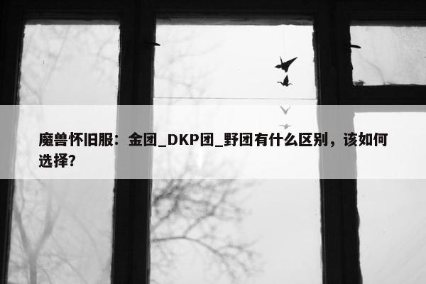 魔兽怀旧服：金团_DKP团_野团有什么区别，该如何选择？