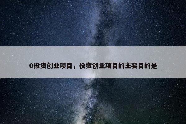 0投资创业项目，投资创业项目的主要目的是