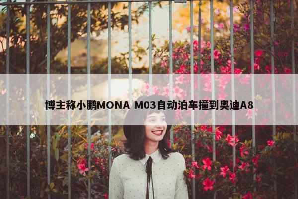 博主称小鹏MONA M03自动泊车撞到奥迪A8