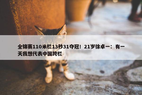 全锦赛110米栏13秒31夺冠！21岁徐卓一：有一天我想代表中国跨栏