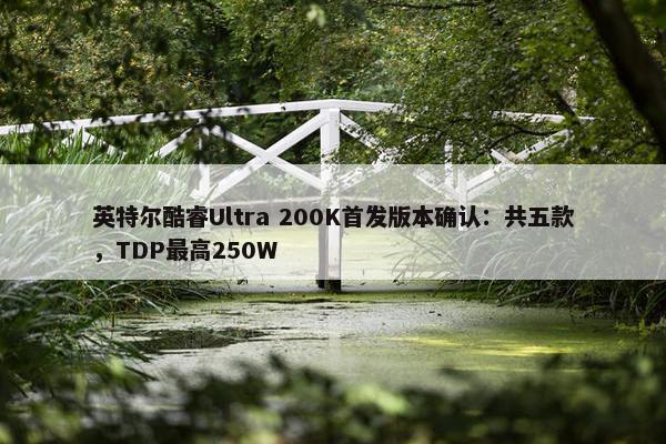 英特尔酷睿Ultra 200K首发版本确认：共五款，TDP最高250W