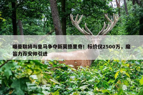 曝曼联将与皇马争夺新莫德里奇！标价仅2500万，魔笛力荐安帅引进