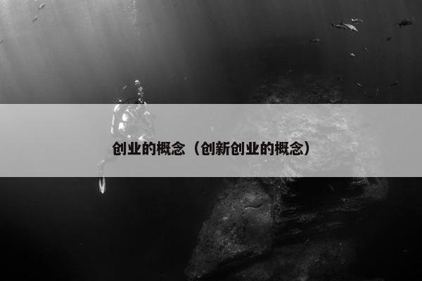 创业的概念（创新创业的概念）