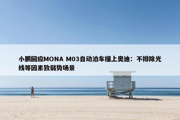 小鹏回应MONA M03自动泊车撞上奥迪：不排除光线等因素致弱势场景