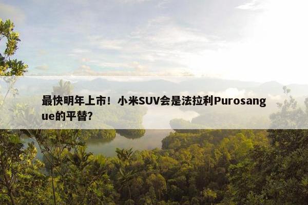 最快明年上市！小米SUV会是法拉利Purosangue的平替？