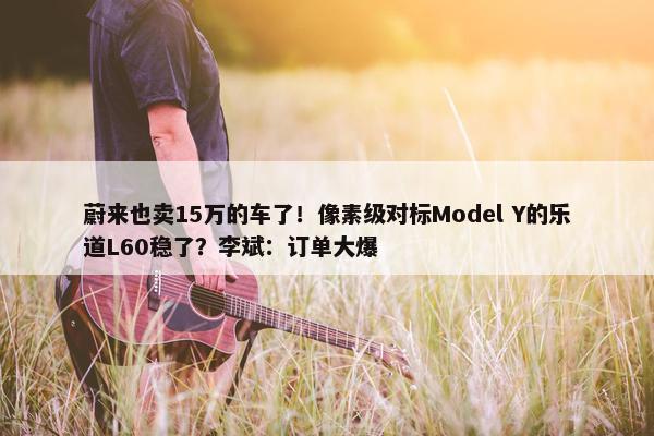 蔚来也卖15万的车了！像素级对标Model Y的乐道L60稳了？李斌：订单大爆