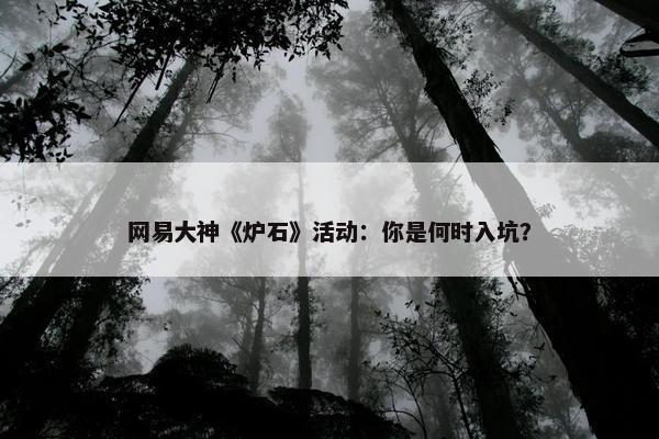 网易大神《炉石》活动：你是何时入坑？