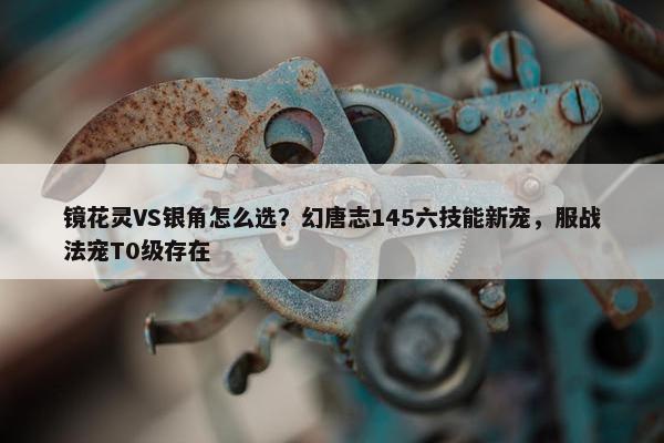 镜花灵VS银角怎么选？幻唐志145六技能新宠，服战法宠T0级存在