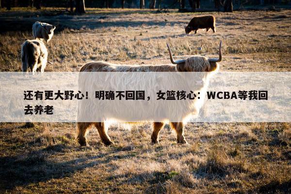 还有更大野心！明确不回国，女篮核心：WCBA等我回去养老