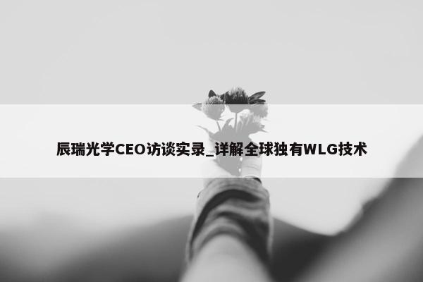 辰瑞光学CEO访谈实录_详解全球独有WLG技术