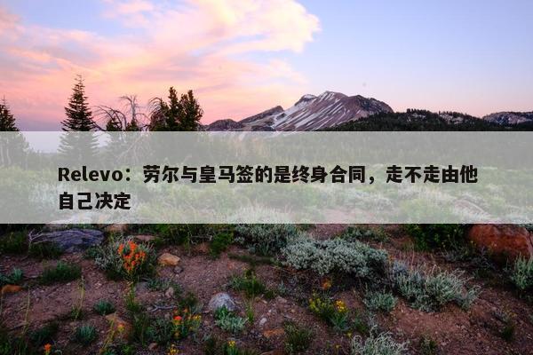 Relevo：劳尔与皇马签的是终身合同，走不走由他自己决定