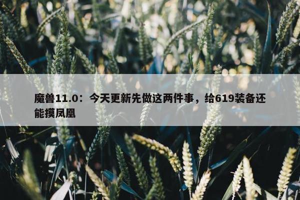 魔兽11.0：今天更新先做这两件事，给619装备还能摸凤凰