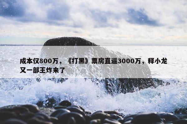 成本仅800万，《打黑》票房直逼3000万，释小龙又一部王炸来了