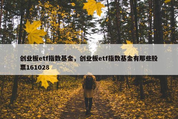 创业板etf指数基金，创业板etf指数基金有那些股票161028