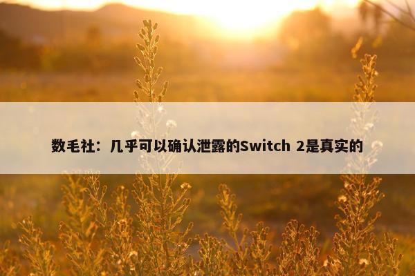 数毛社：几乎可以确认泄露的Switch 2是真实的