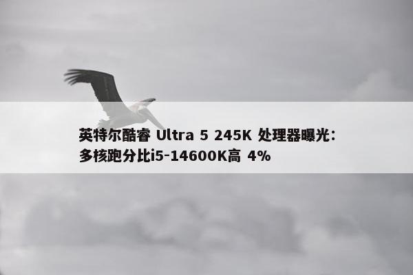 英特尔酷睿 Ultra 5 245K 处理器曝光：多核跑分比i5-14600K高 4%