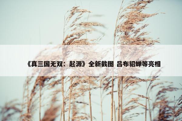 《真三国无双：起源》全新截图 吕布貂蝉等亮相