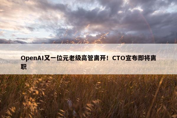 OpenAI又一位元老级高管离开！CTO宣布即将离职 