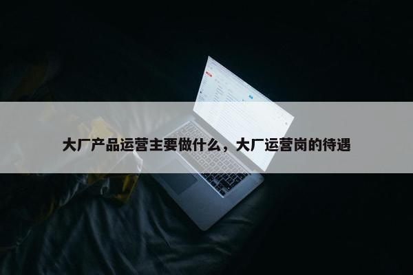 大厂产品运营主要做什么，大厂运营岗的待遇