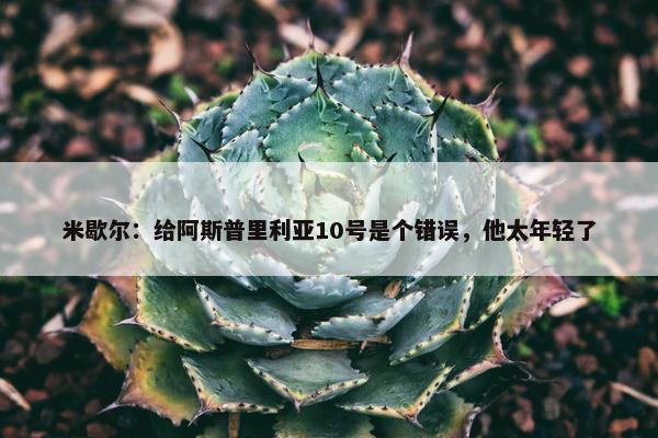 米歇尔：给阿斯普里利亚10号是个错误，他太年轻了