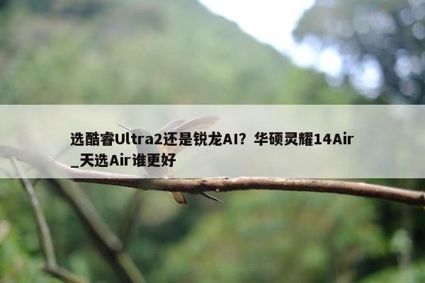 选酷睿Ultra2还是锐龙AI？华硕灵耀14Air_天选Air谁更好