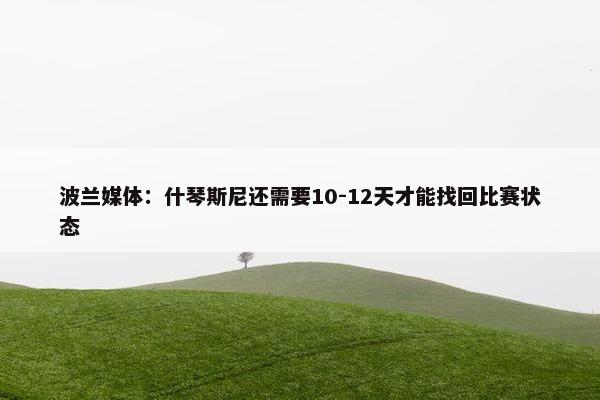 波兰媒体：什琴斯尼还需要10-12天才能找回比赛状态