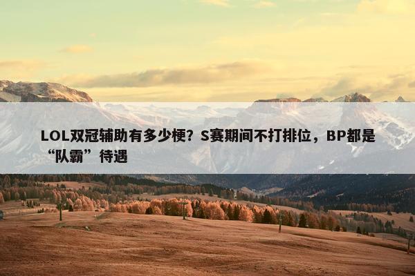 LOL双冠辅助有多少梗？S赛期间不打排位，BP都是“队霸”待遇