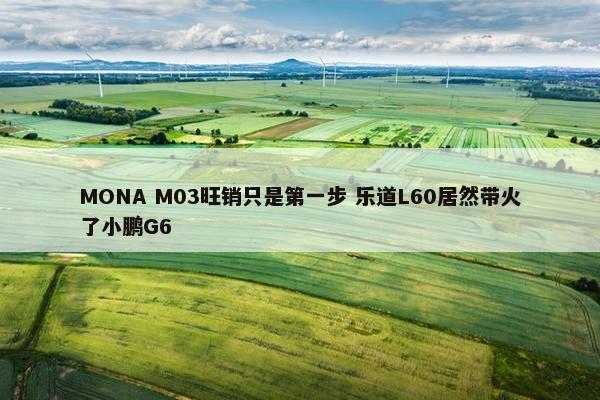 MONA M03旺销只是第一步 乐道L60居然带火了小鹏G6