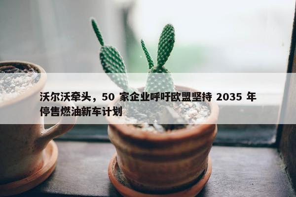 沃尔沃牵头，50 家企业呼吁欧盟坚持 2035 年停售燃油新车计划