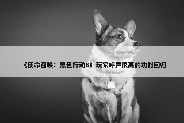 《使命召唤：黑色行动6》玩家呼声很高的功能回归