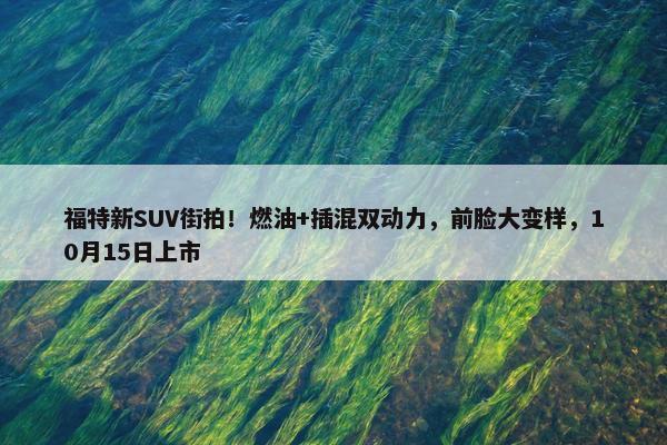 福特新SUV街拍！燃油+插混双动力，前脸大变样，10月15日上市