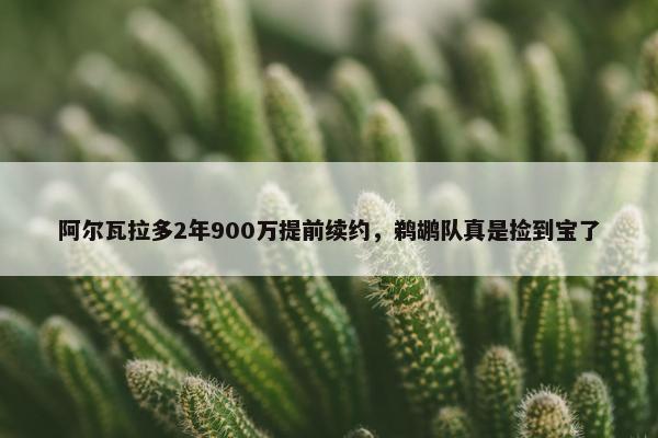 阿尔瓦拉多2年900万提前续约，鹈鹕队真是捡到宝了