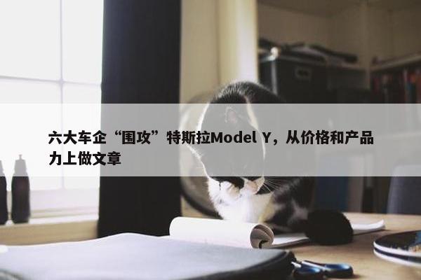 六大车企“围攻”特斯拉Model Y，从价格和产品力上做文章