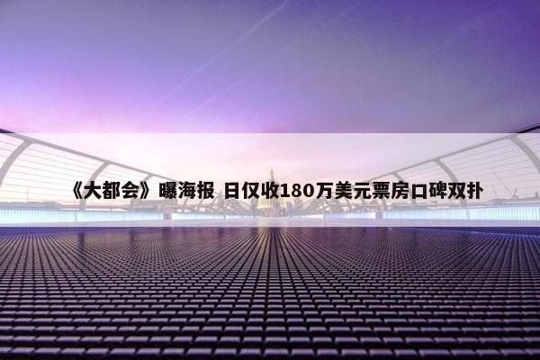 《大都会》曝海报 日仅收180万美元票房口碑双扑