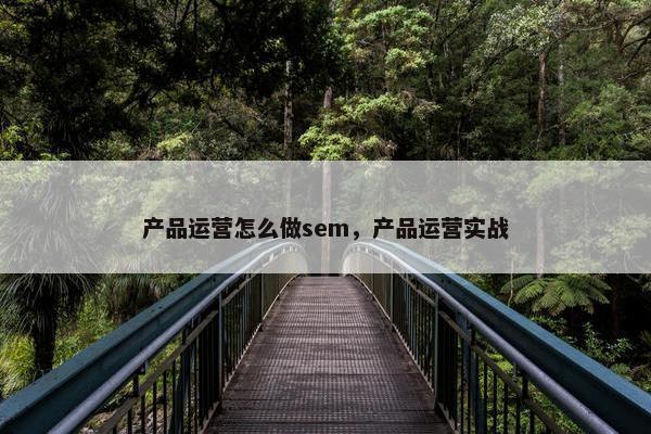 产品运营怎么做sem，产品运营实战