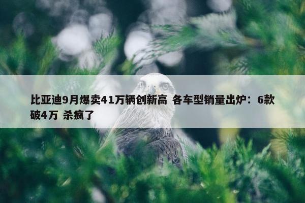 比亚迪9月爆卖41万辆创新高 各车型销量出炉：6款破4万 杀疯了