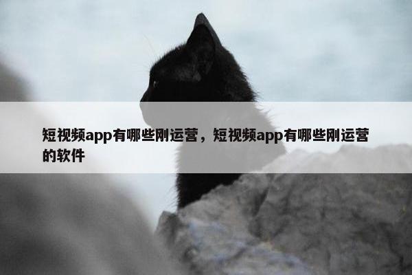 短视频app有哪些刚运营，短视频app有哪些刚运营的软件