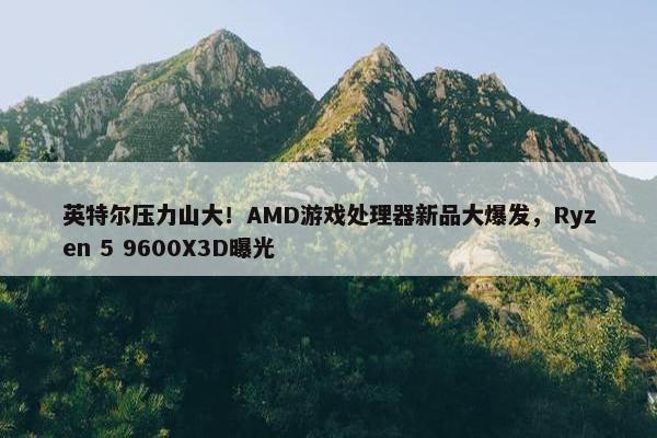 英特尔压力山大！AMD游戏处理器新品大爆发，Ryzen 5 9600X3D曝光