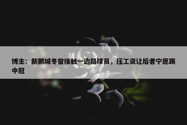 博主：新鹏城冬窗接触一边路球员，压工资让后者宁愿踢中冠