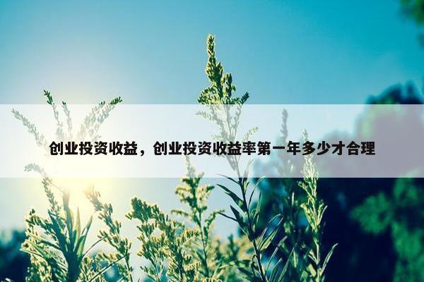 创业投资收益，创业投资收益率第一年多少才合理