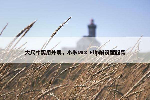 大尺寸实用外屏，小米MIX Flip辨识度超高