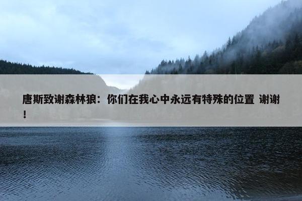 唐斯致谢森林狼：你们在我心中永远有特殊的位置 谢谢！