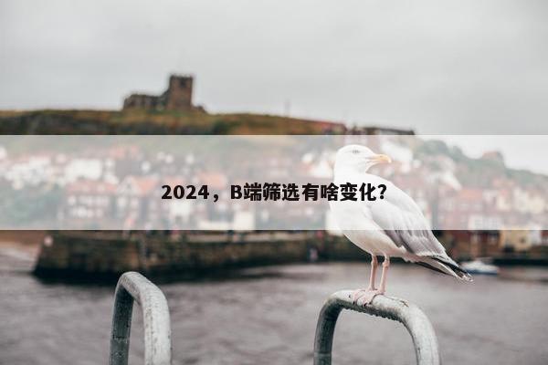 2024，B端筛选有啥变化？