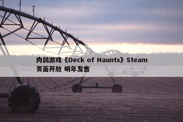 肉鸽游戏《Deck of Haunts》Steam页面开放 明年发售