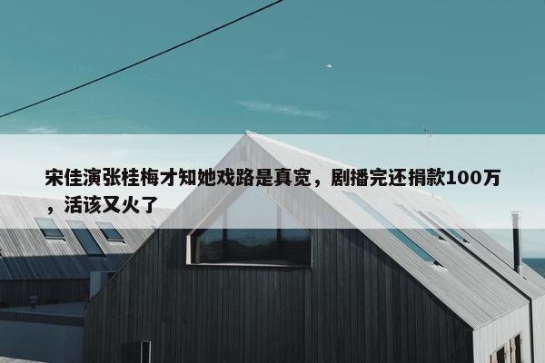 宋佳演张桂梅才知她戏路是真宽，剧播完还捐款100万，活该又火了