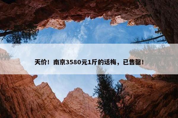 天价！南京3580元1斤的话梅，已售罄！