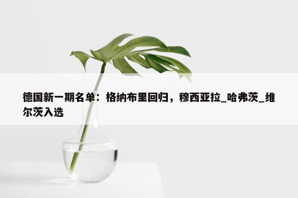 德国新一期名单：格纳布里回归，穆西亚拉_哈弗茨_维尔茨入选